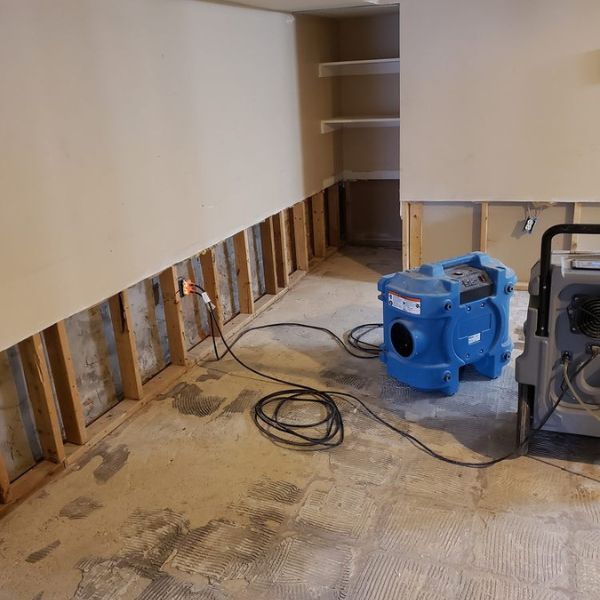Mold Remediation In Overlea Md