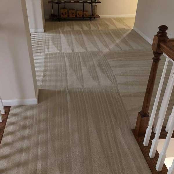 Carpet Cleaning In Parkville Md