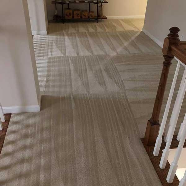 Carpet Cleaning In Middle River Md