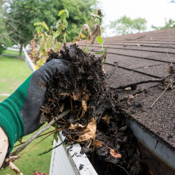 Gutter Cleaning In Forest Hill Md