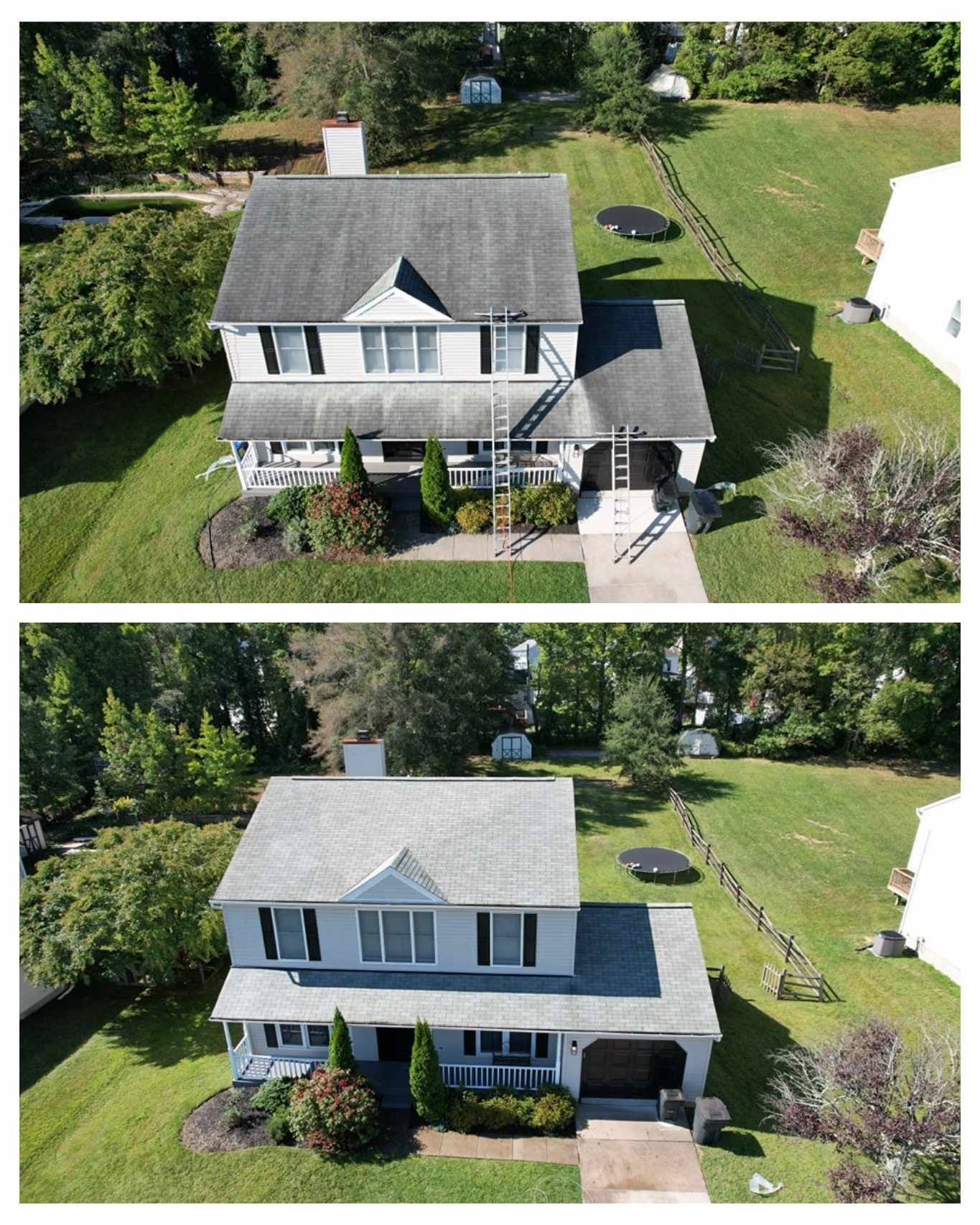 Professional Roof Cleaning Service