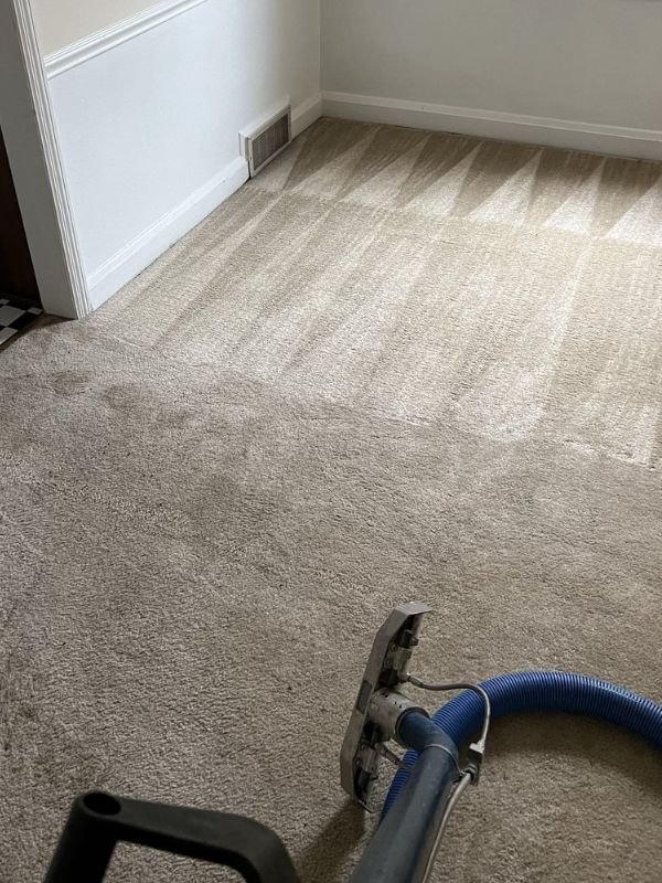 Pet Odor Urine Removal In Jarrettsville Md