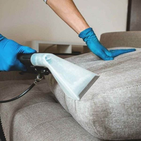 Professional Upholstery Cleaning