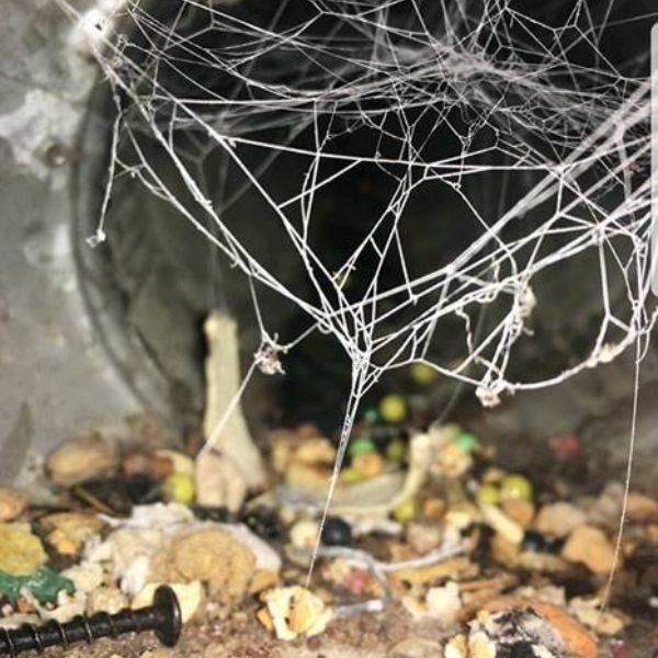 Professional Varmint Guard Installation Service