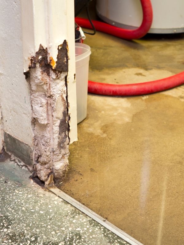 Professional Water Damage Restoration Service