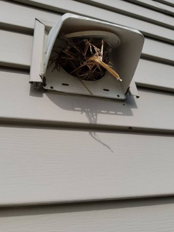 Varmint Guard Installation In Parkville Md